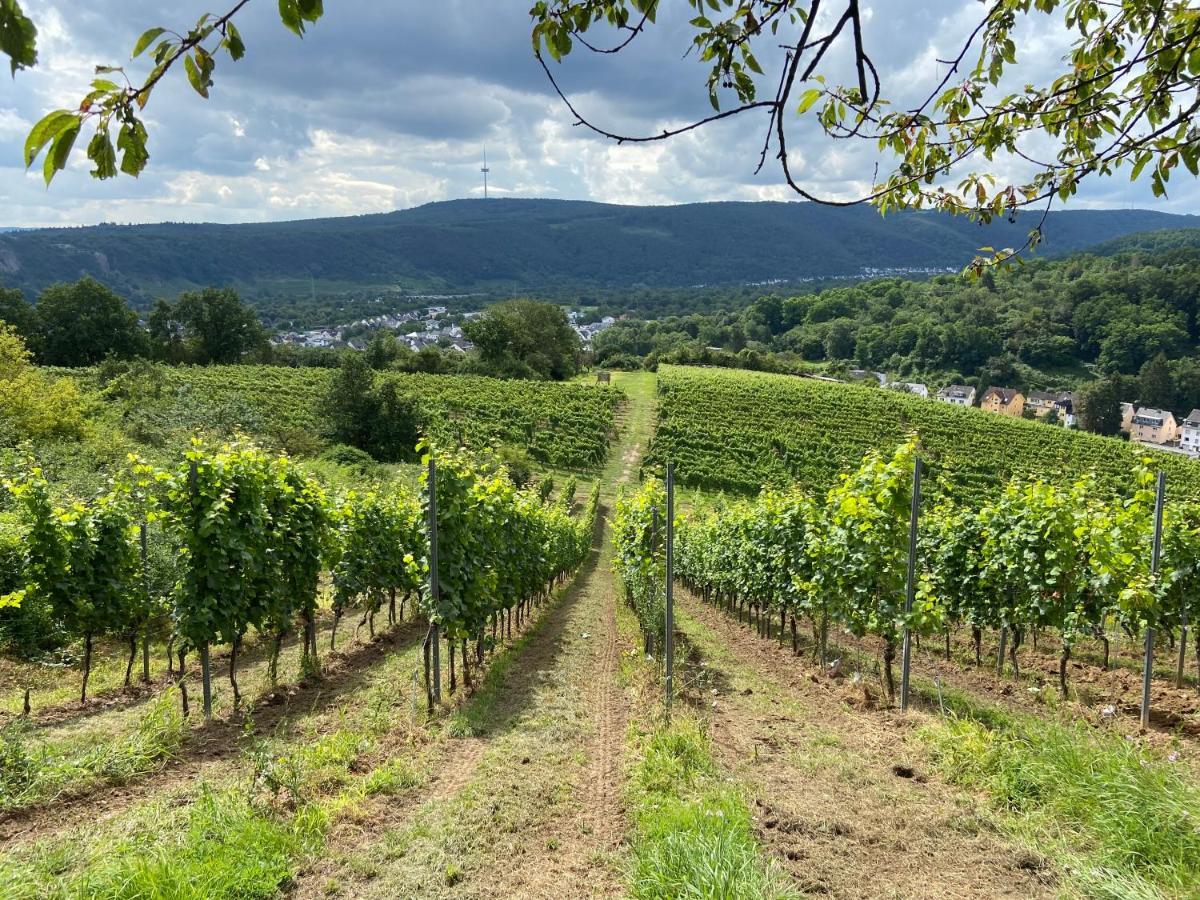 Lieblingsplatz Koblenz Villa Koblenz  Exteriör bild
